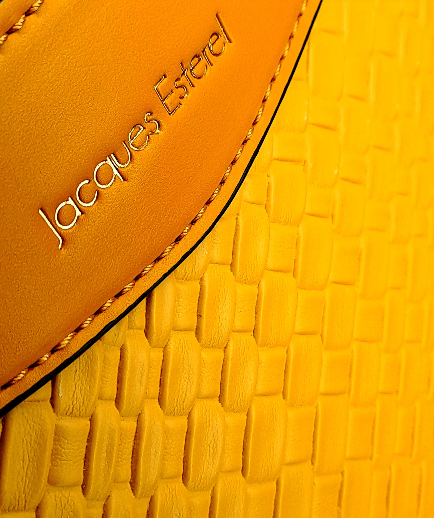 00MODEL Jacques Esterel Bag - Model - Reference