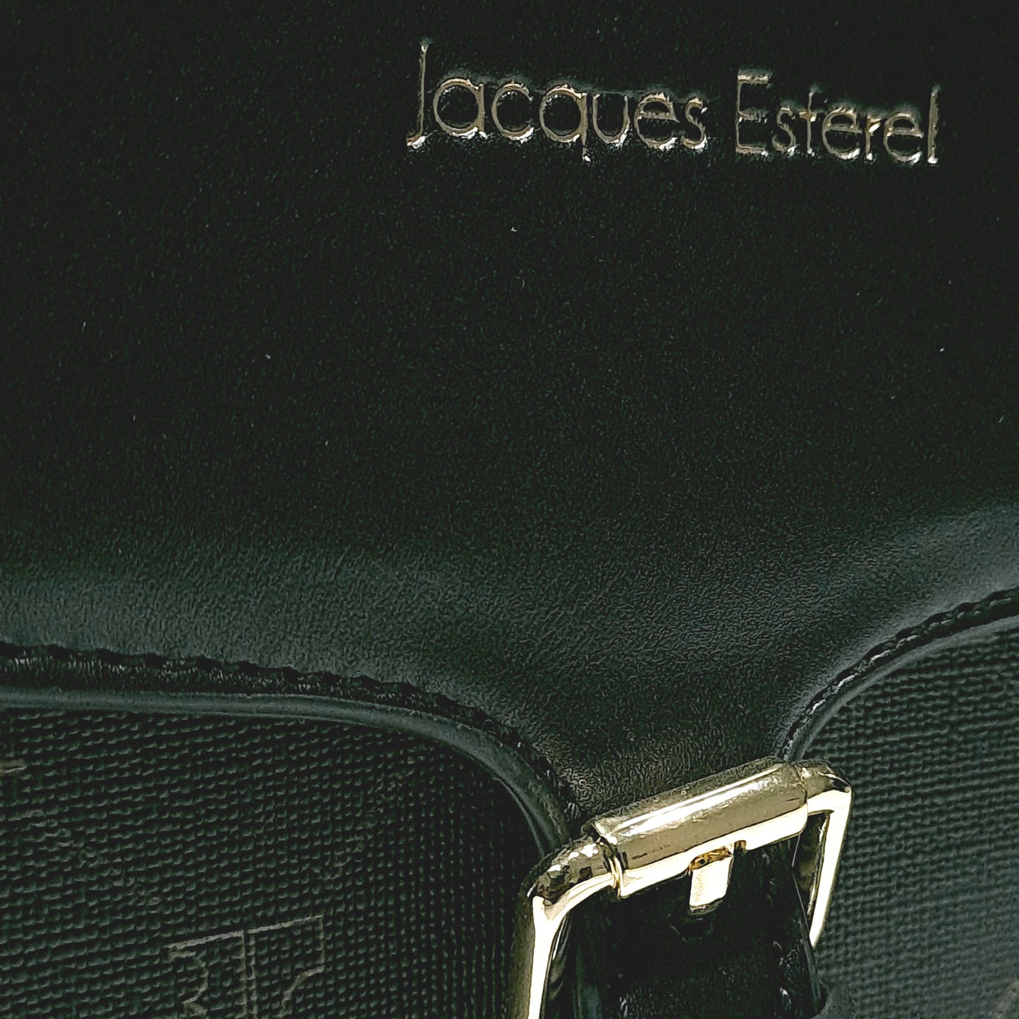 00MODEL Jacques Esterel Bag - Model - Reference